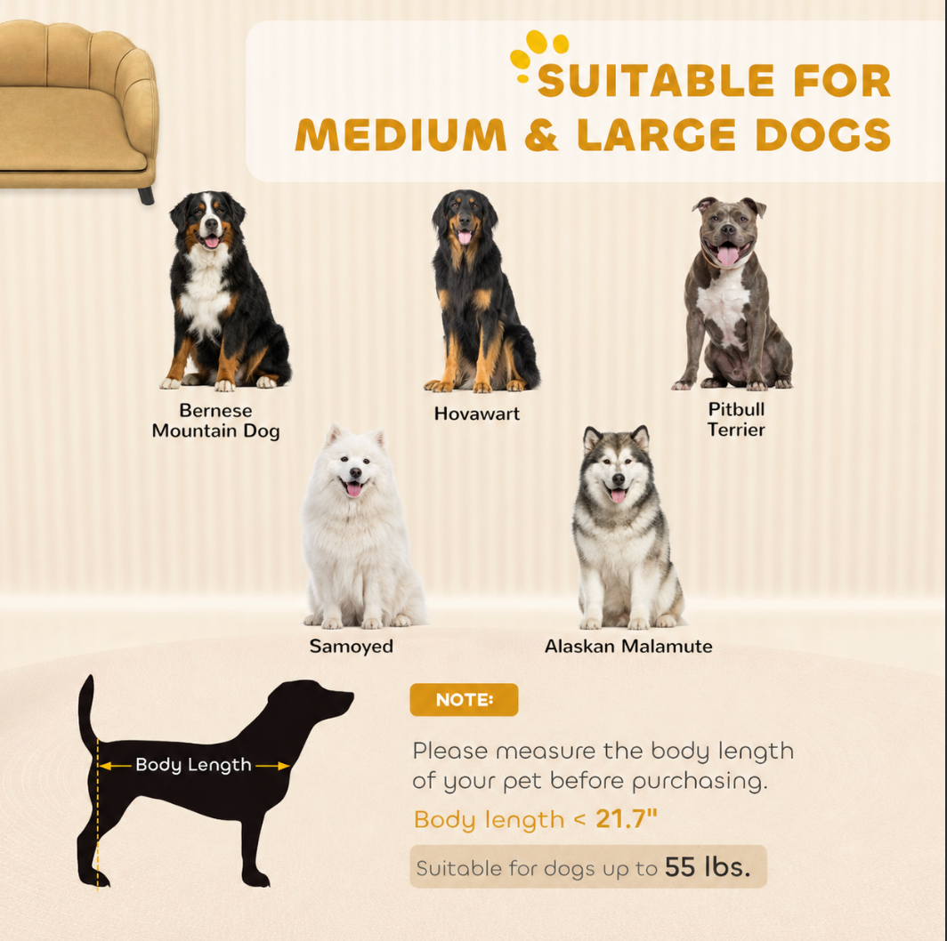 Pearl Accent Pet Sofa Bed– Coffee