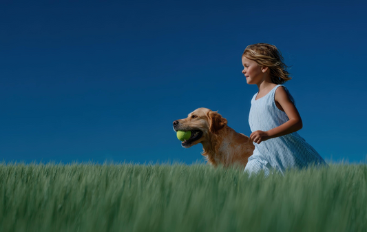 How Dogs Help Children Feel Less Lonely: A Loyal Friend Through Every Stage of Growing Up