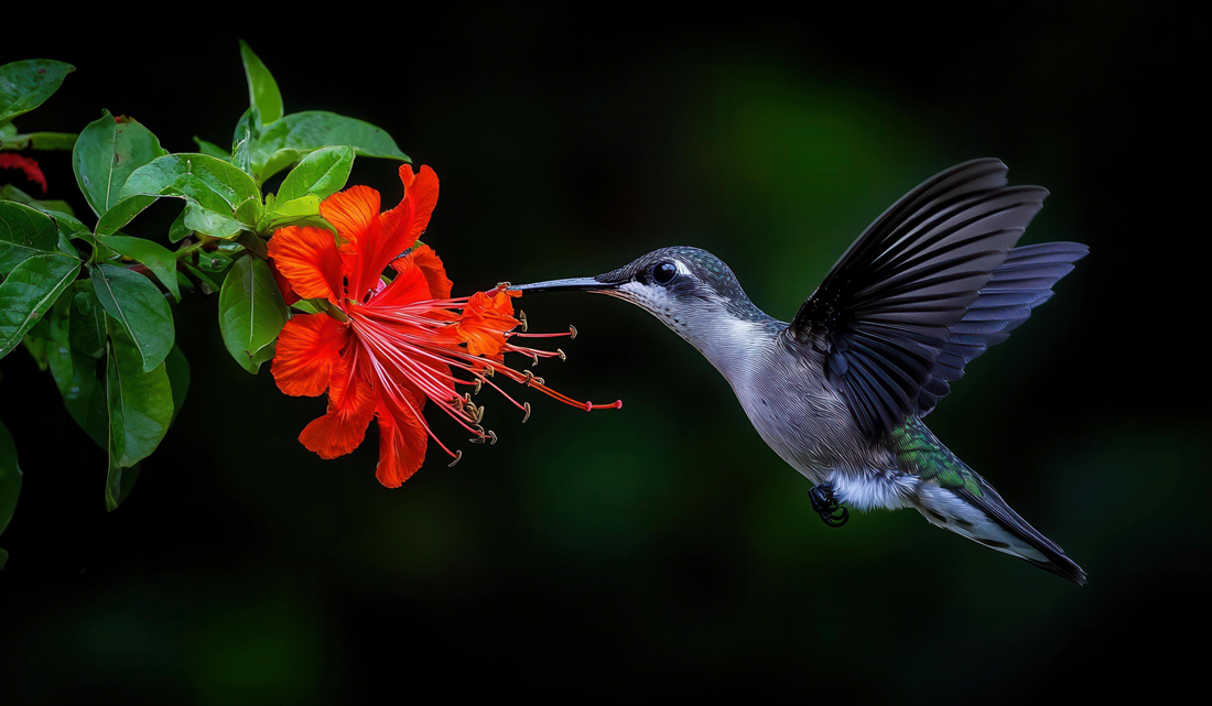 Safe Plants Around Birds: The Complete Guide to Creating a Beautiful, Bird-Friendly Home