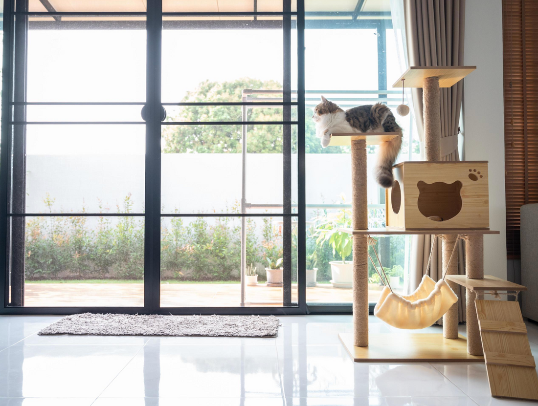 How to Choose the Right Cat Tree Size: A Complete Guide for Every Cat and Home