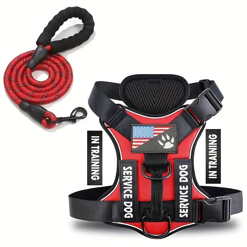 Service Dog In Training Vest