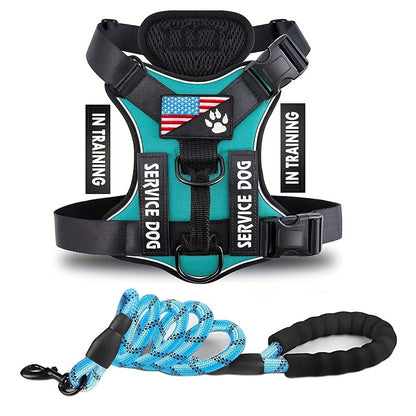 Service Dog In Training Vest