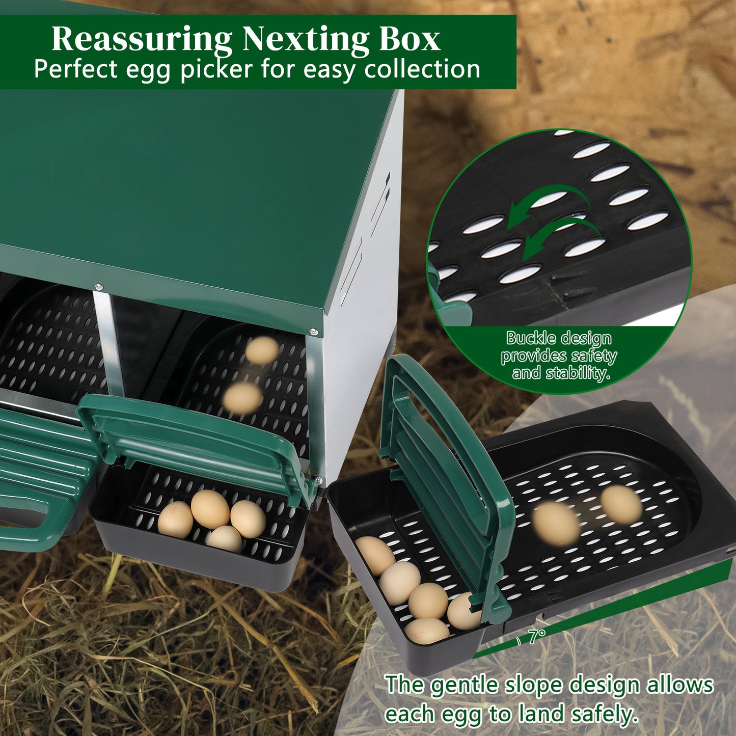 Dual-Compartment Chicken House