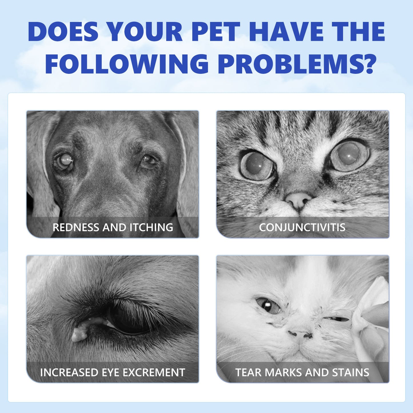 Pet Eye Drops Dogs & Cats