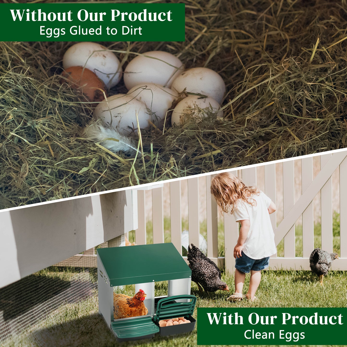 Dual-Compartment Chicken House