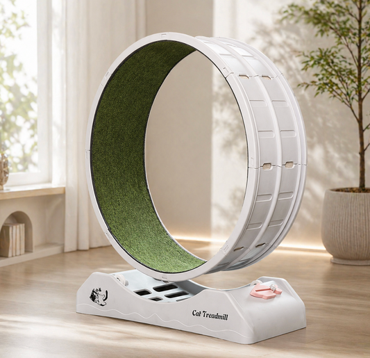 Cat Silent Roller Treadmill