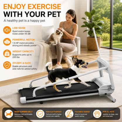 Quiet Smart Pet Treadmill