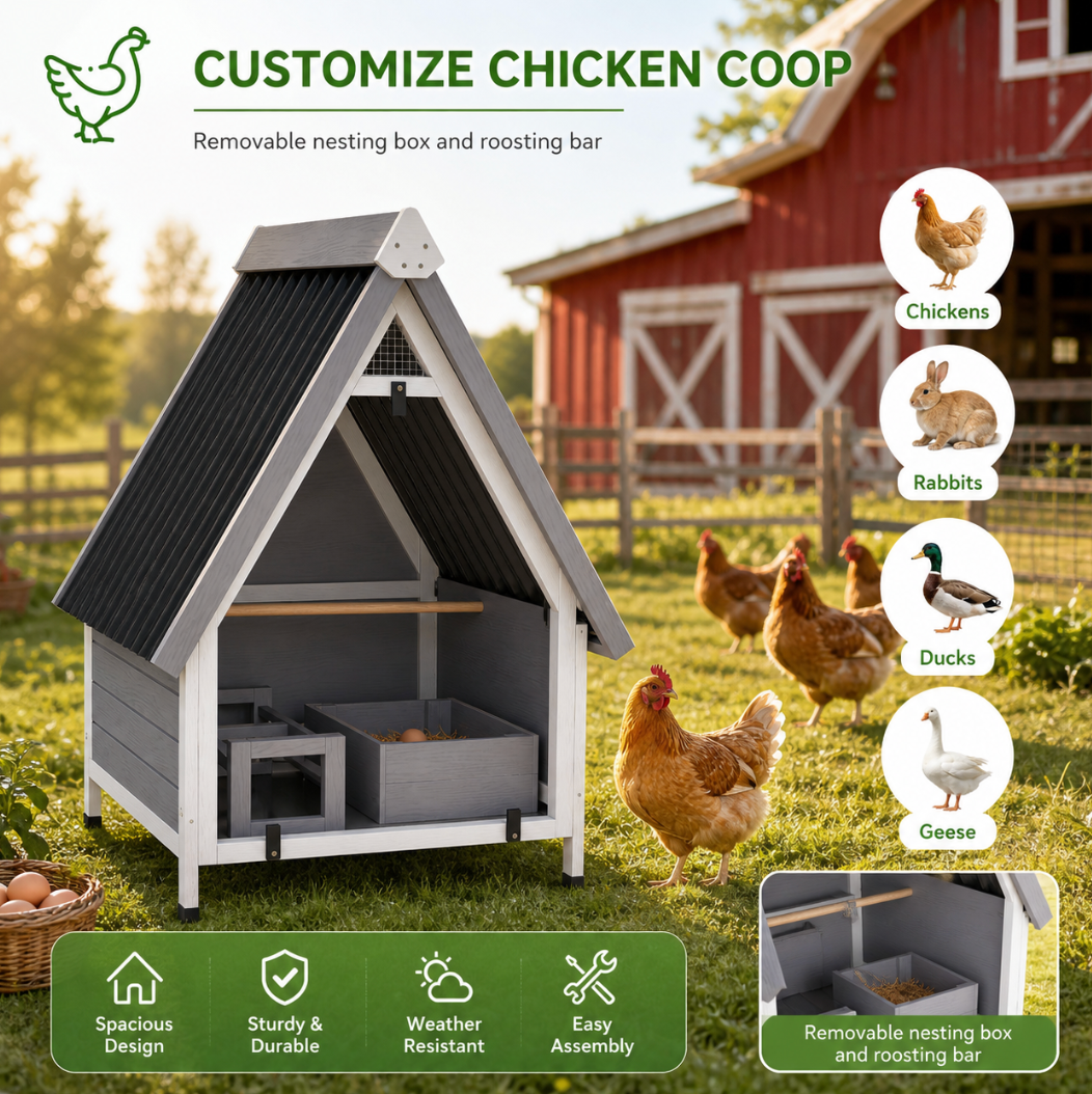 Chicken Coop for 2 Chickens
