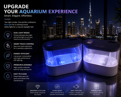 Self-Cleaning Desktop Aquarium
