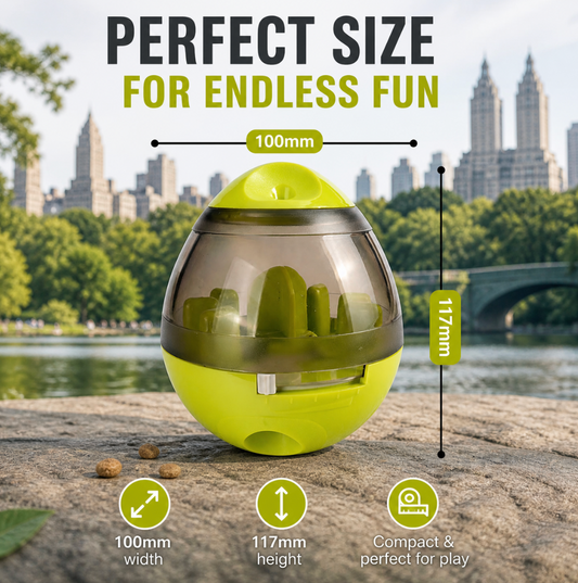 Food Dispenser Toy