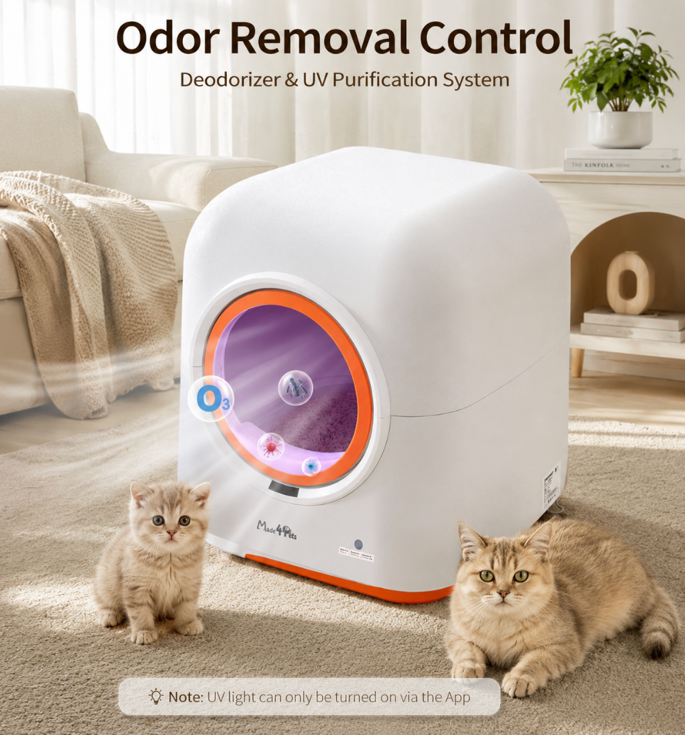 Automatic Cat Litter Box