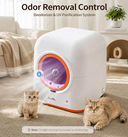 Automatic Cat Litter Box