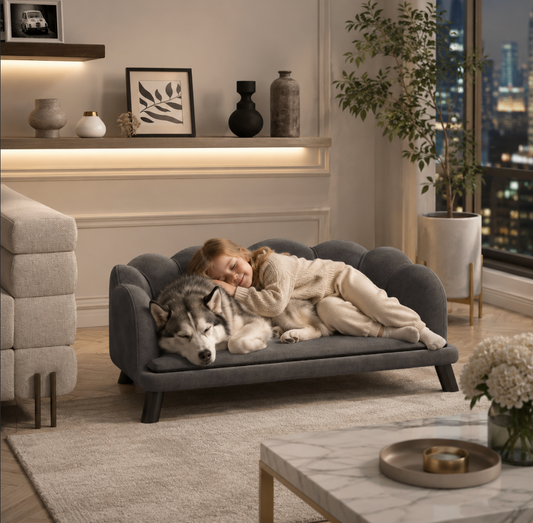 Pearl Accent Pet Sofa Bed– Grey