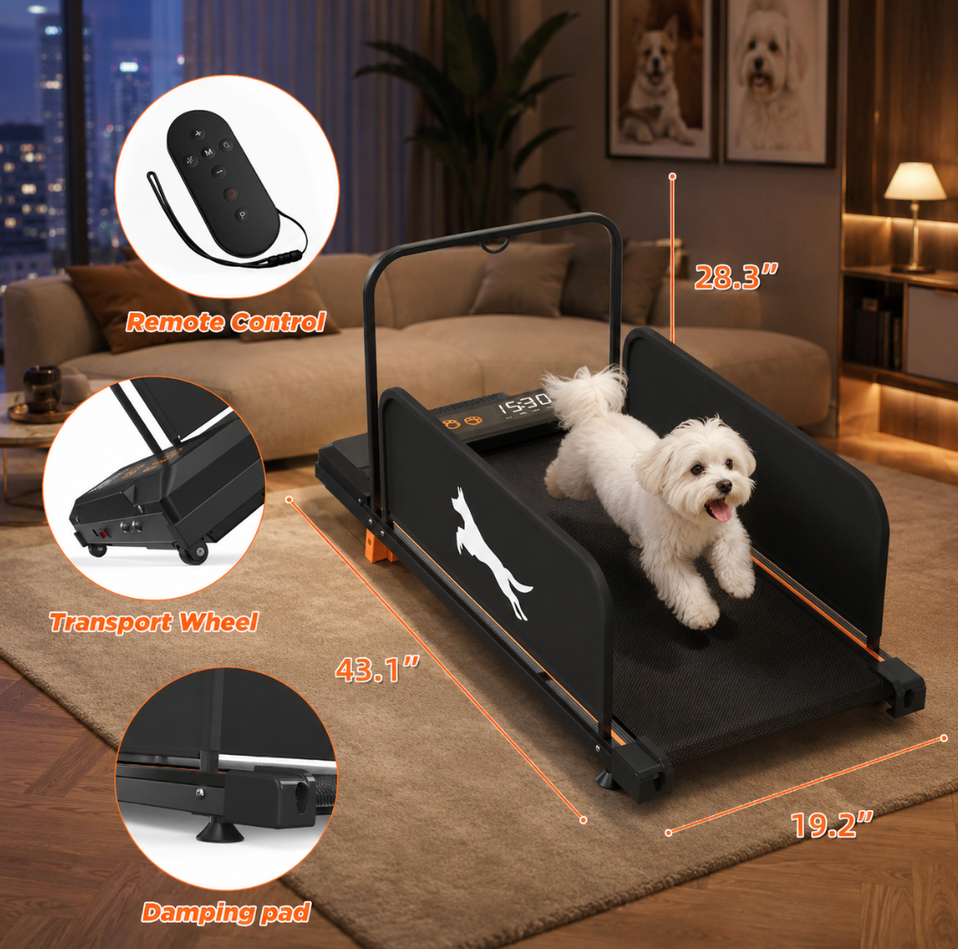 Small Dog Treadmill