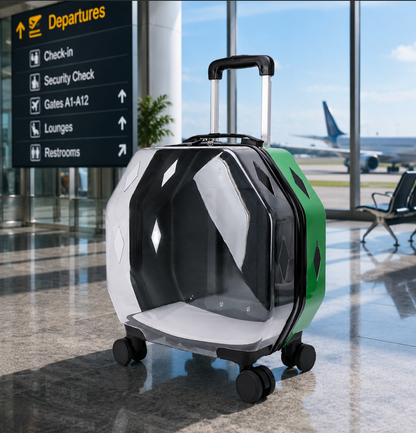 Transparent Backpack