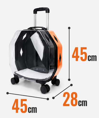Transparent Backpack