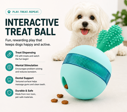 Interactive Treat Toy