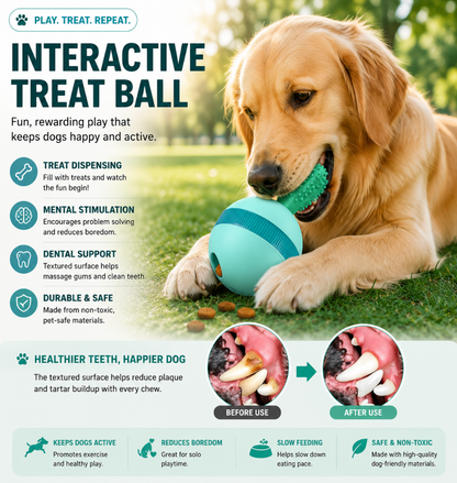 Interactive Treat Toy