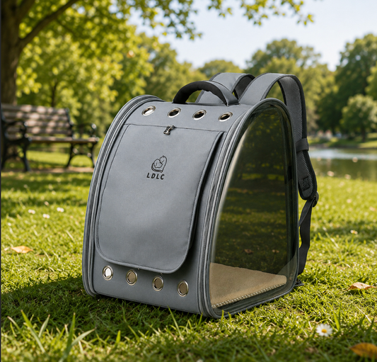 Transparent Pet Backpack Carrier