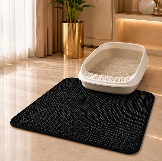 Double-Layer Cat Litter Mat