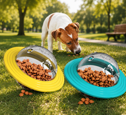 Food Educational Toys