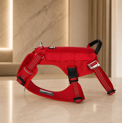 Adjustable Dog Harness