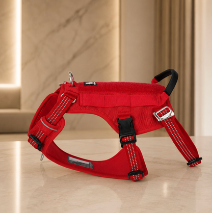 Adjustable Dog Harness