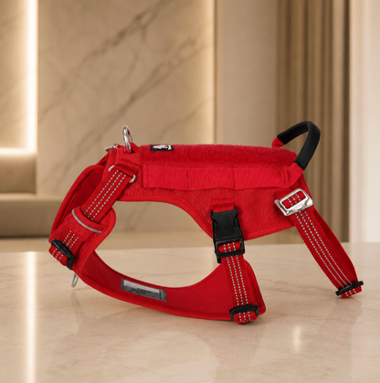 Adjustable Dog Harness