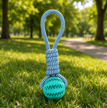 Interactive Hemp Rope