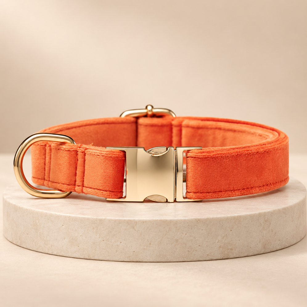 Velvet Dog Collar