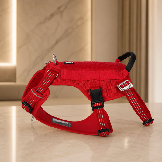 Adjustable Dog Harness