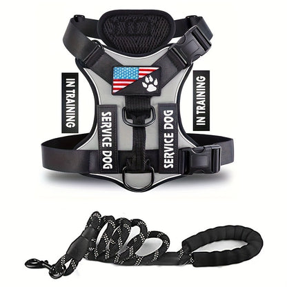 Service Dog In Training Vest